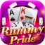 black rummy icon